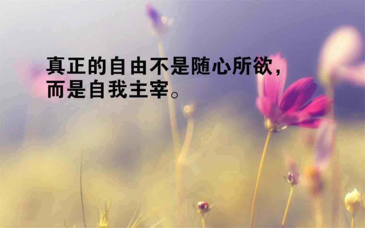激励人心的正能量精辟一句话早安励志正能量人生感悟语录今天1,生活