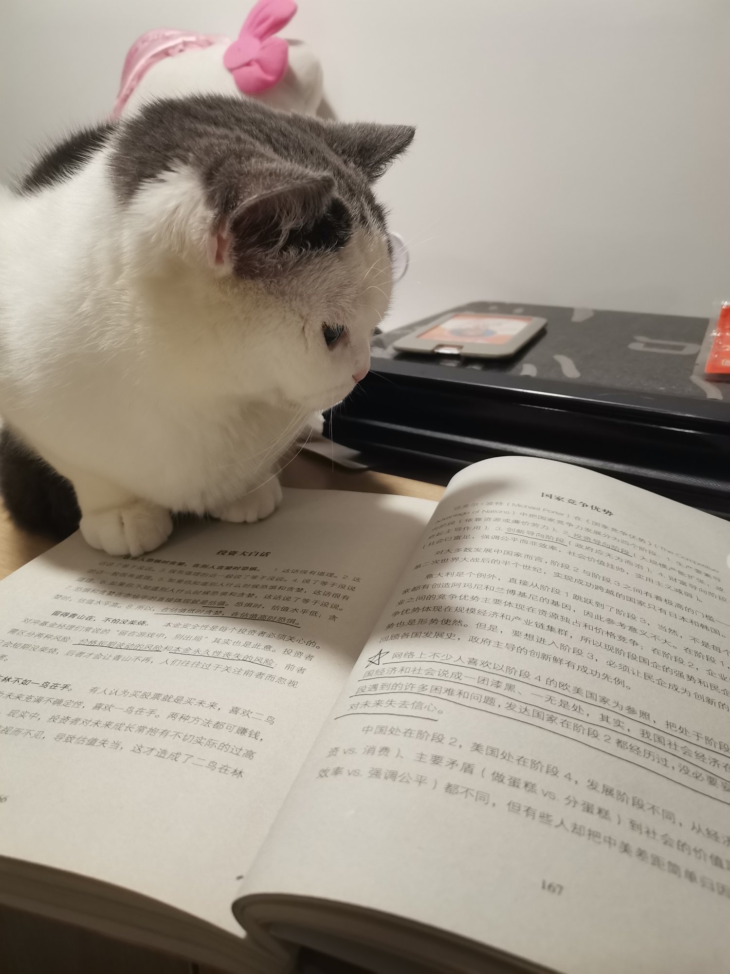 看书的猫(^^)