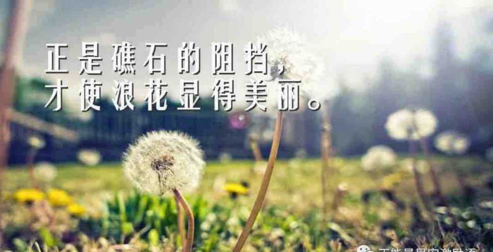 9新的一周,新的开始早安励志经典语录正能量今天1,人生道路上遇到荆棘