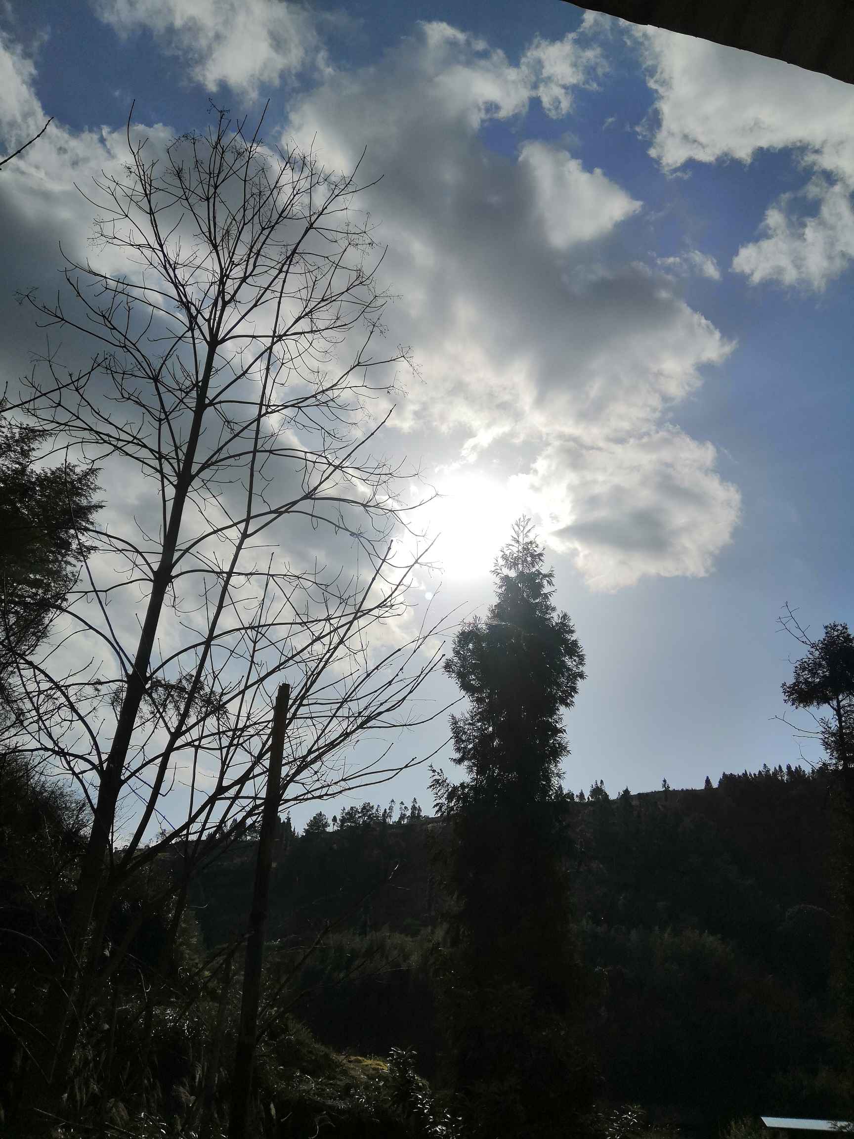 太阳终于放晴了,连日来的阴雨天一扫而过,股市也涨起来了