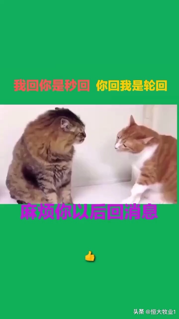 千年等一回等你回来啊