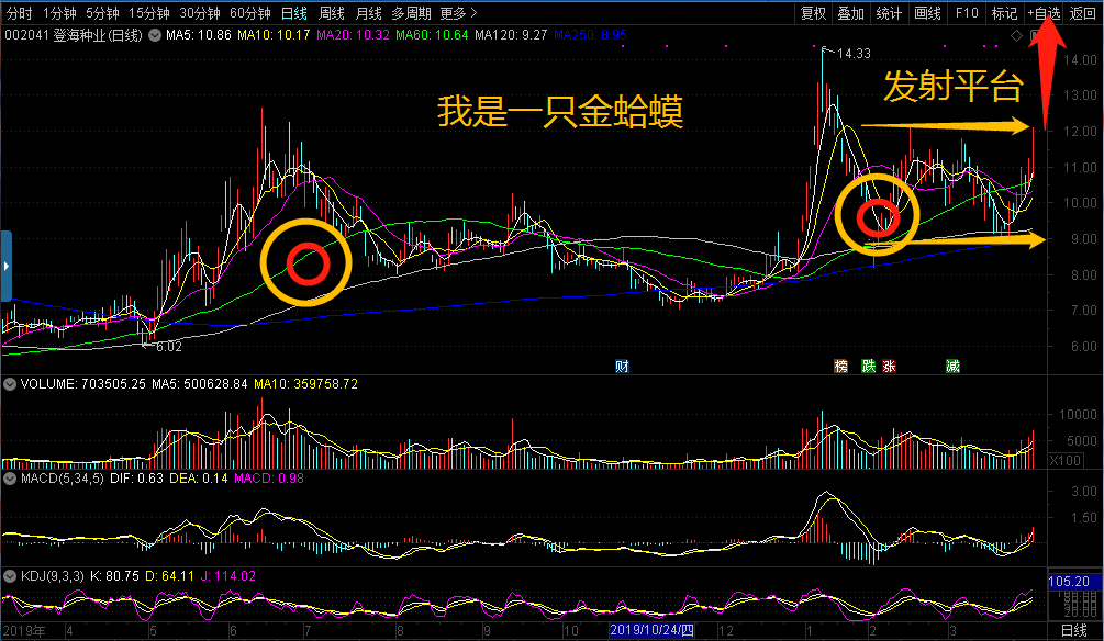 金蛤蟆牛股形态,农业股中唯一完美标致,这才是大牛股