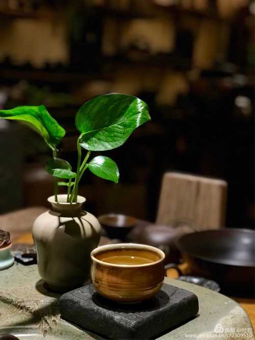 一心一佛一众生,一茶一禅悟人生.休心何须山水地,灭却