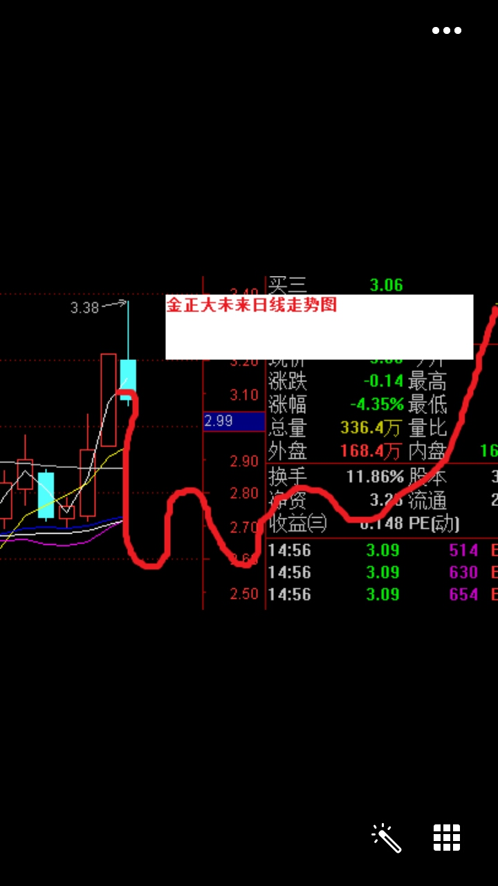 金正大未来日线走势图_*st金正(002470)股吧_东方财富