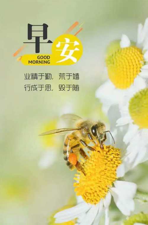早安~