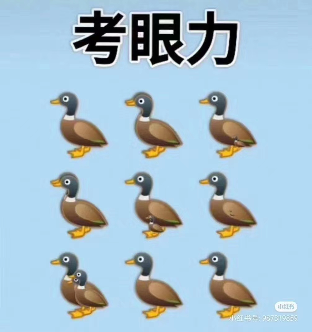 考考你的眼力,有几只鸭?