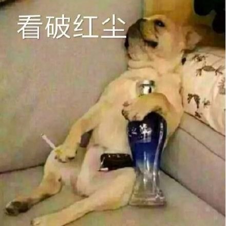 今天520,看破红尘.