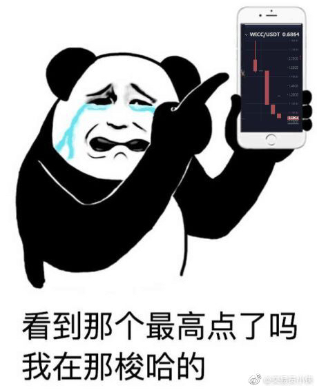 不要怂满仓干