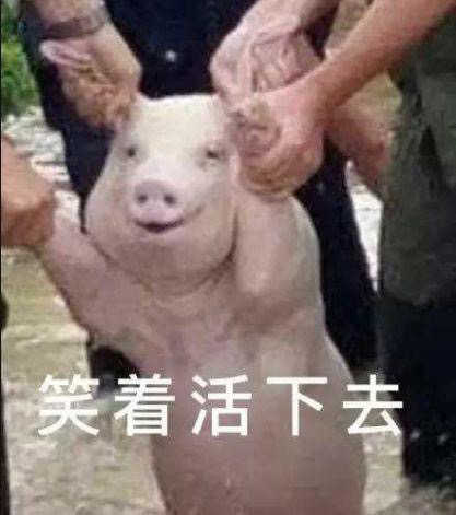 今天有多少人割肉了!我31的本,跌了一个星期!