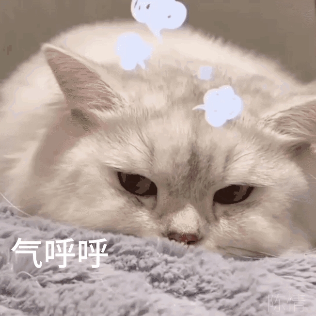 看着你还是老样子我就放心了