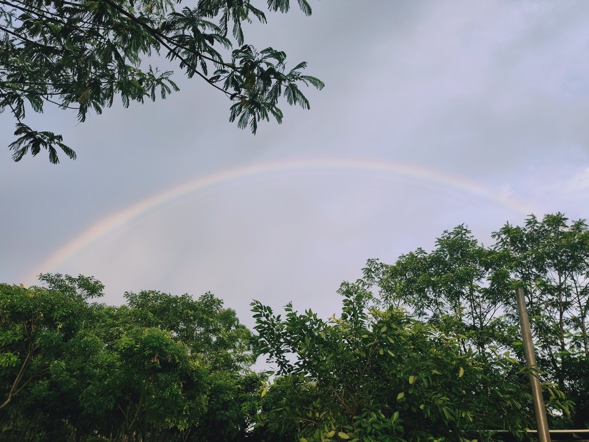 坚持下去,我们也在坚持.雨后彩虹!