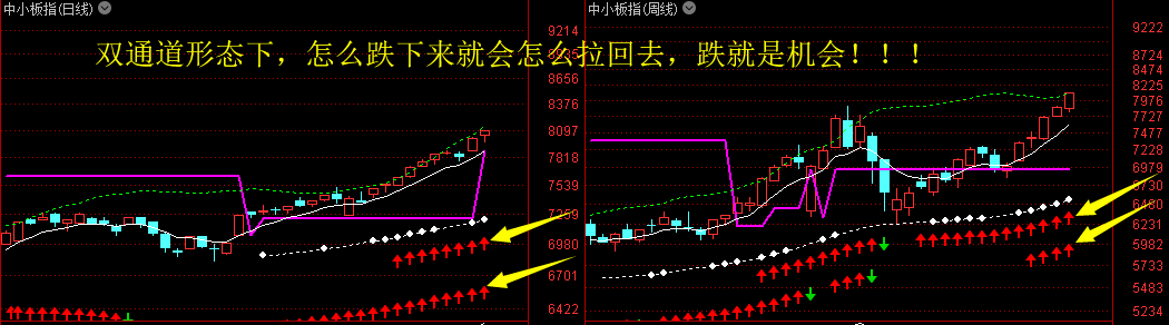 正文  特别提一下,创业板牛市已在路上,本月回落不破坏双通道牛市就