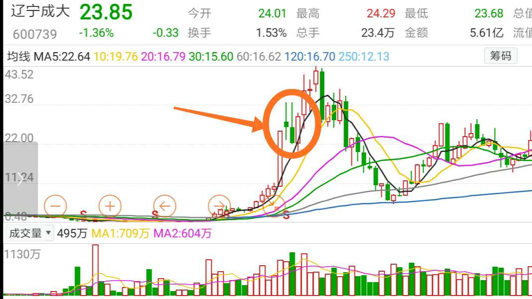 辽宁成大主力逆向思维,过会后挖出黄金坑