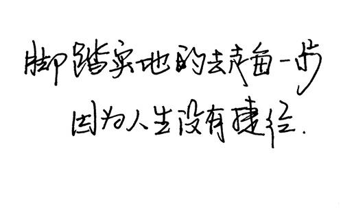 1C803A799D2652BA9FC3D307A026A2D0_w500h313.jpg