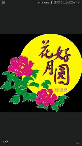 秋风薄起双节庆每逢佳节倍思亲一年一度数亲人唯有翠竹叶常青罕见情缘