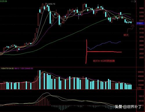 专家视角下的A股市场，开盘即收盘的预测与解析