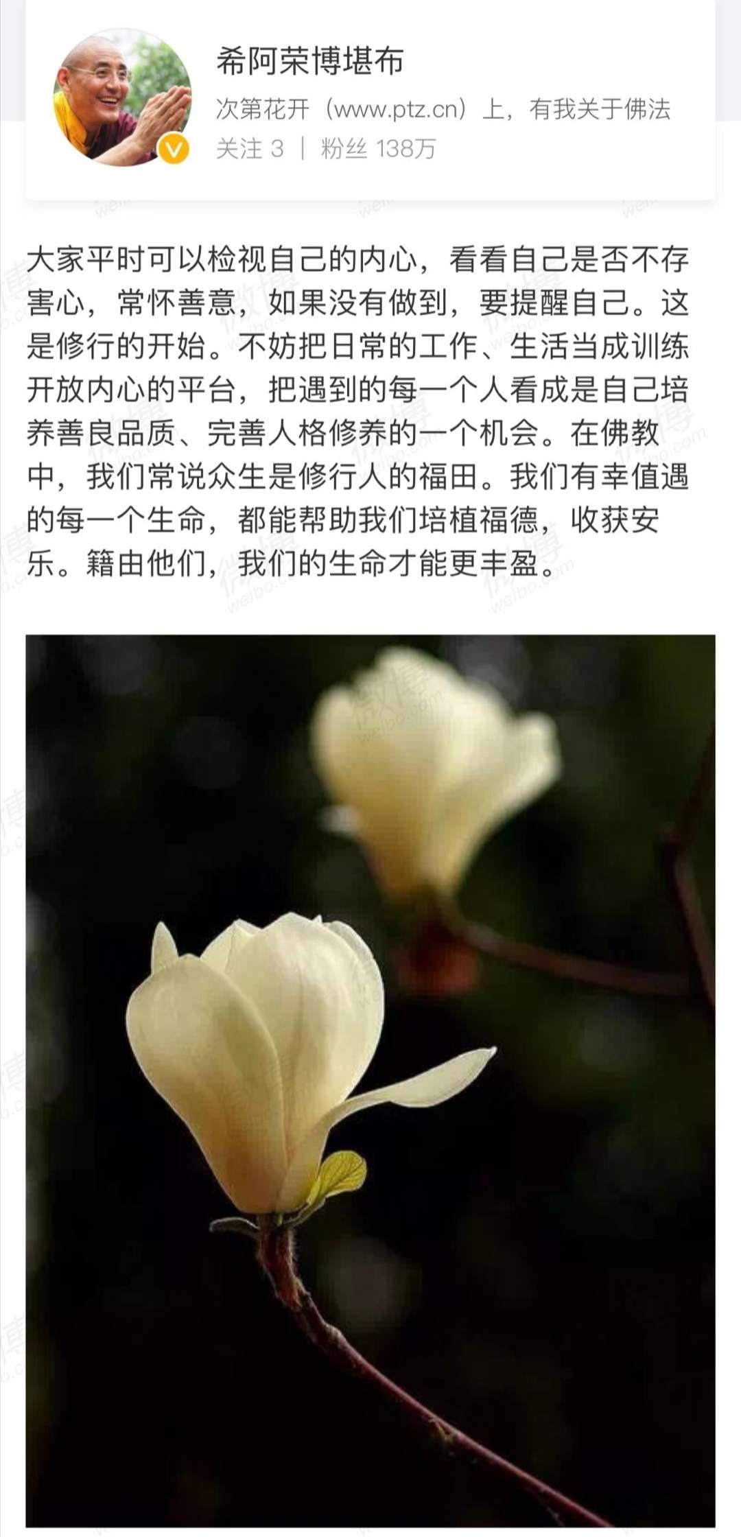 静待花开