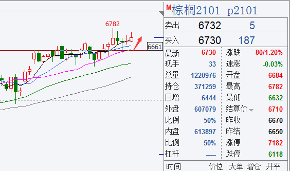 11.16棕榈.png