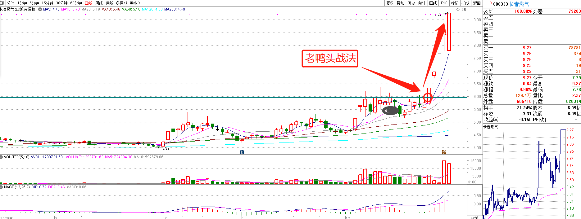 有点眉目金蜘蛛老鸭头能否齐头并进