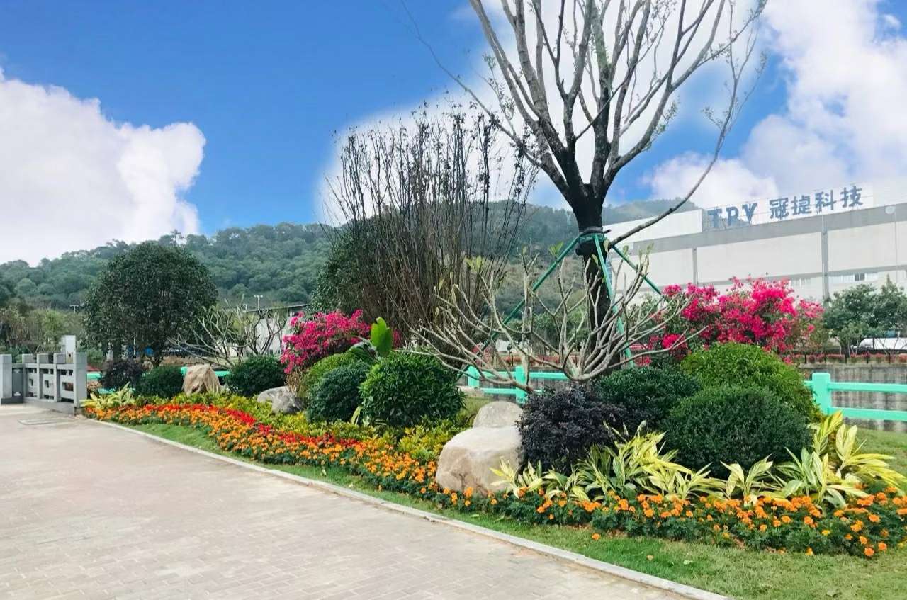 怎么还是半死不活的