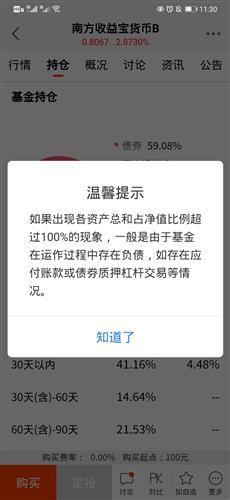 负债占比是什么意思