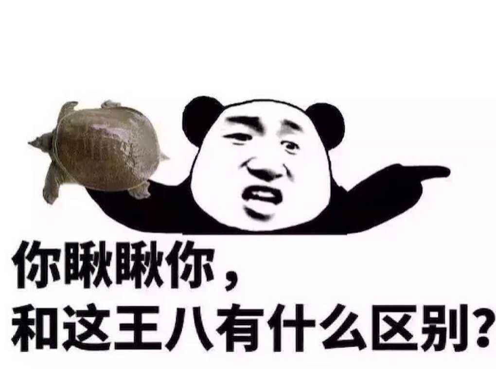 水浅王八多