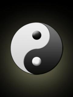太极图据说是宋朝道士陈抟所传出,原叫《无极图.