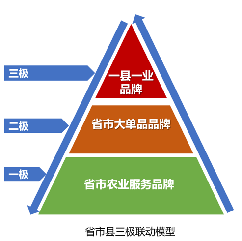 E71E742516038B85C16159E4955A81BB_w493h490.png
