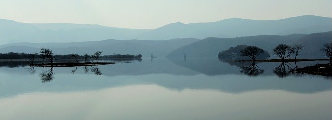 忘川的河