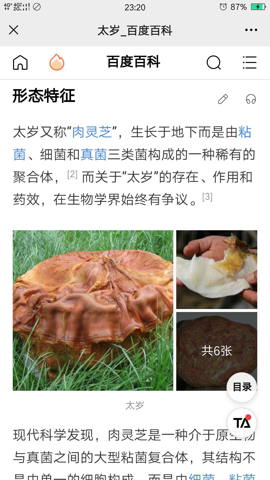 建议华绿生物公司研发太岁又称肉灵芝_财富号评论(cfhpl)股吧_东方