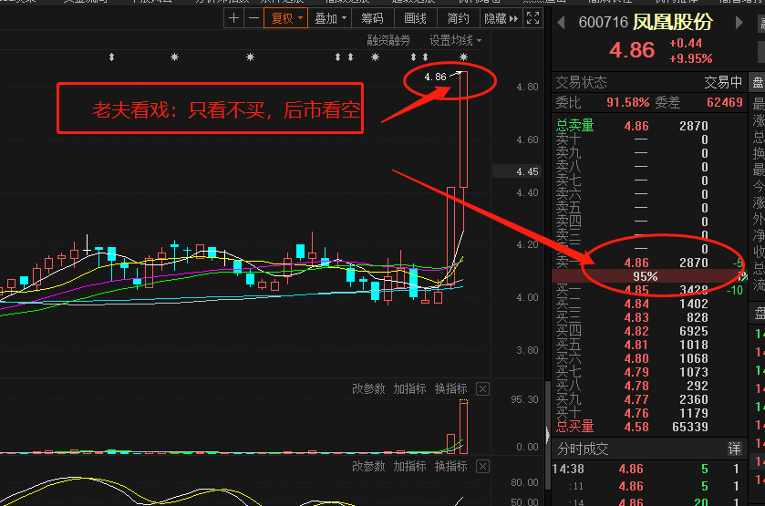 友情提示:高位放量,主力出逃_凤凰股份(600716)股吧