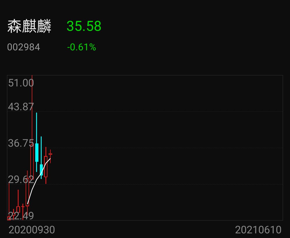 强推,森麒麟跻身轮胎龙头