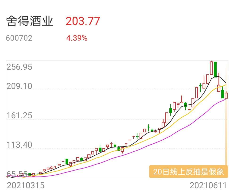 舍得酒业丨破位下跌,往下趋势不改,没有只涨不跌的股票,短期或再出