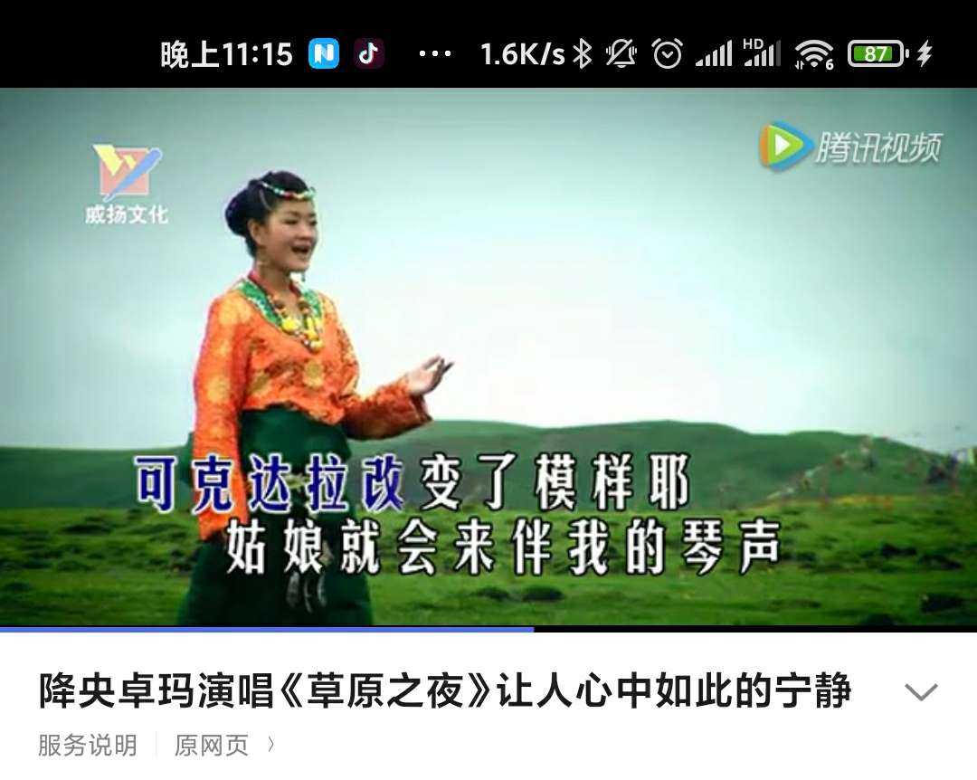 伊力特酒有代言人吗,可以从东方小夜曲一《草原之夜》