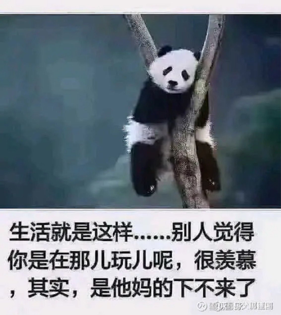 不卖就没亏,不卖就没亏,不卖就没亏!