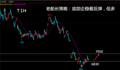 棕榈2109:行情连续底部震荡整理,逐步形成筑底形态,短期建议关注行情