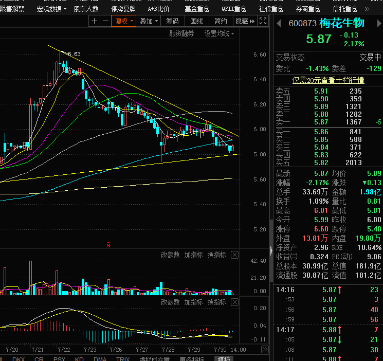 技术分析_梅花生物(600873)股吧_东方财富网股吧