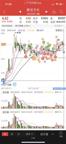 鼎龙文化股票价格_行情_走势图—东方财富网