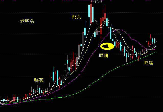 老鸭头上翘必暴涨