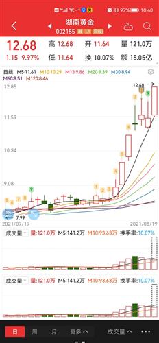 湖南黄金股票价格_行情_走势图—东方财富网