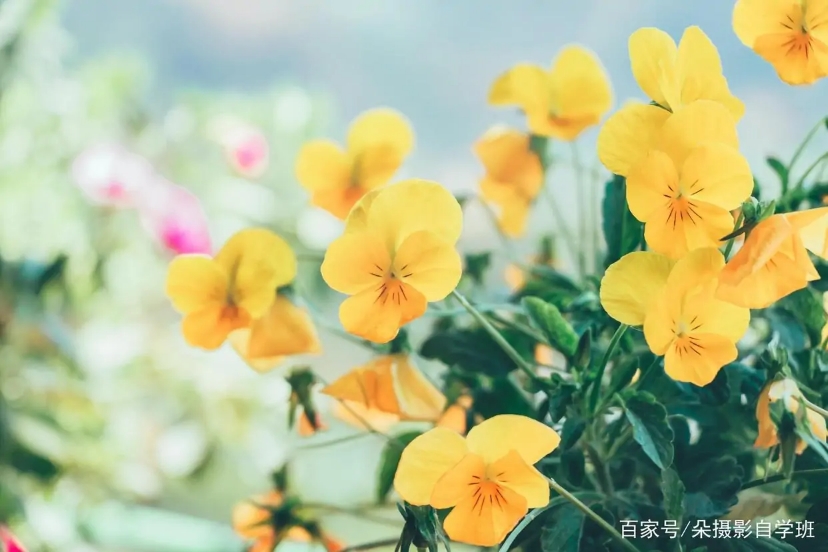 慢慢悠悠,磨叽死了!