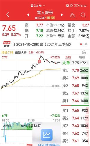 雪人股份股票价格_行情_走势图—东方财富网