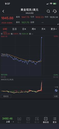 山东黄金股票价格_行情_走势图—东方财富网