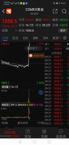山东黄金股票价格_行情_走势图—东方财富网