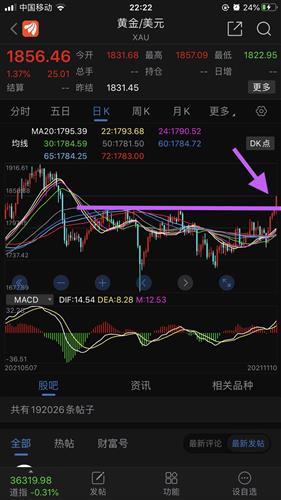 山东黄金股票价格_行情_走势图—东方财富网