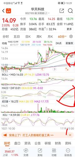 ���ܿ������������Ϊ�ǣ�����̬����˽���˹���SF�����̬�档����Σ���ļ��������