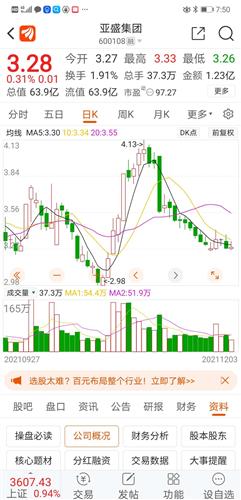 亚盛集团股票价格_行情_走势图—东方财富网