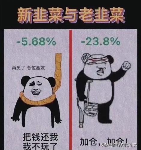 父母不爱我的脱口秀段子,父母不爱我的脱口秀段子视频