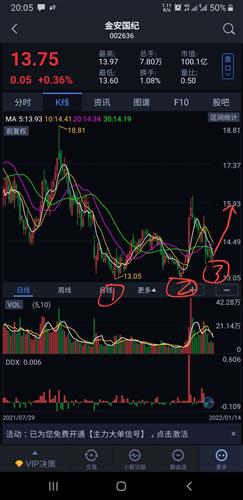 金安国纪股票价格_行情_走势图—东方财富网