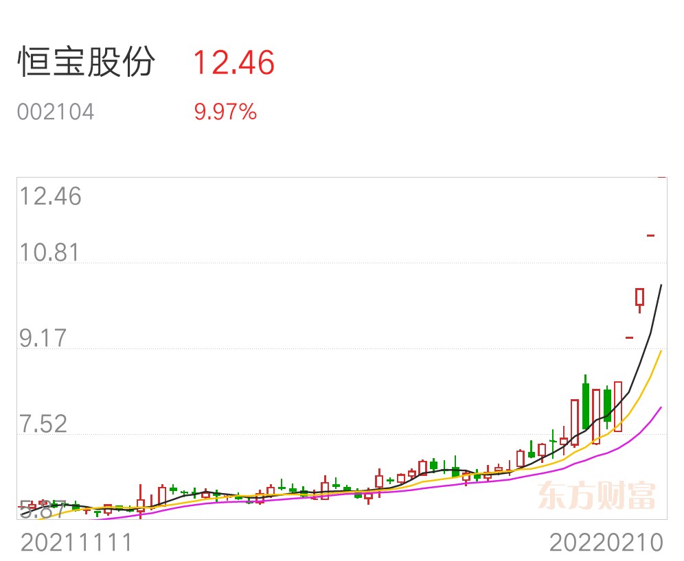 数字货币强者恒强行情展开